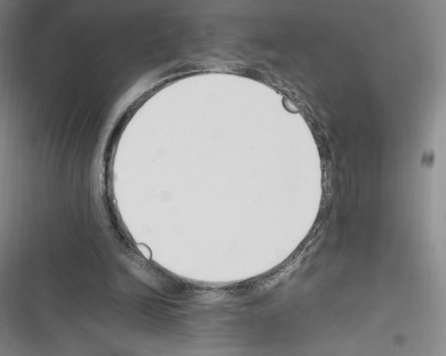 X0000116270246201001111020