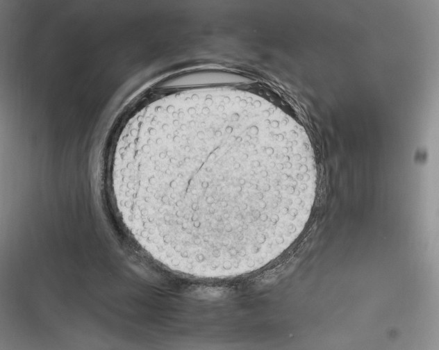 X0000116270247201001111020