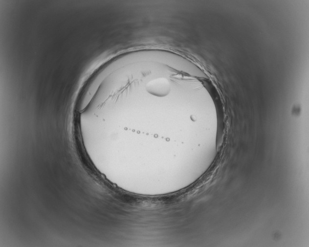 X0000116270248201001111020