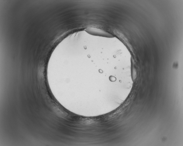 X0000116270249201001111020