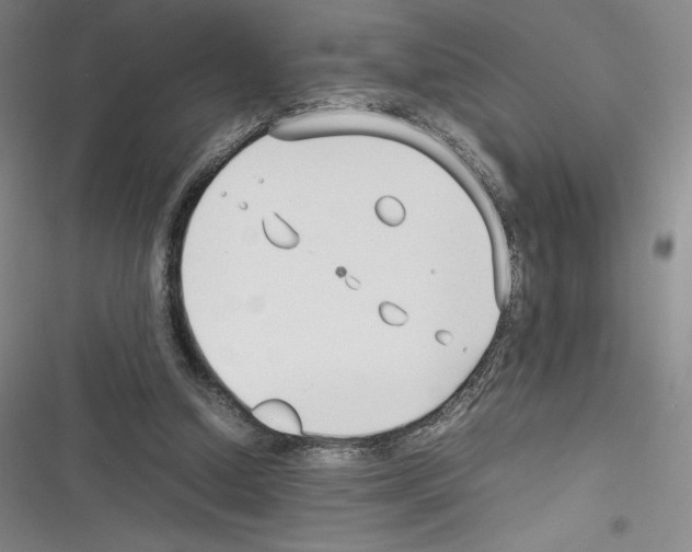 X0000116270250201001111020