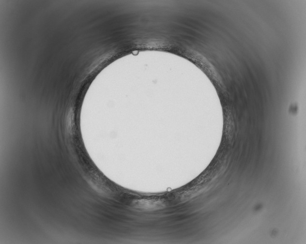 X0000116270251201001111020