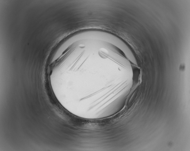X0000116270252201001111020