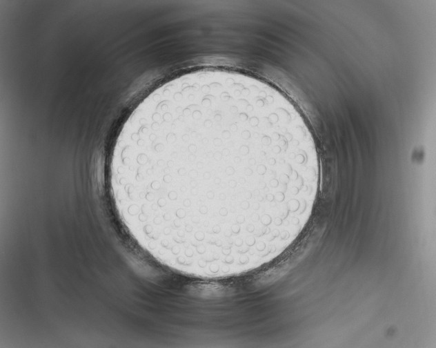 X0000116270253201001111020