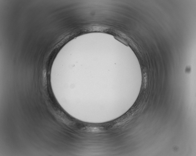 X0000116270254201001111020