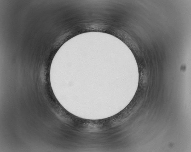 X0000116270255201001111020