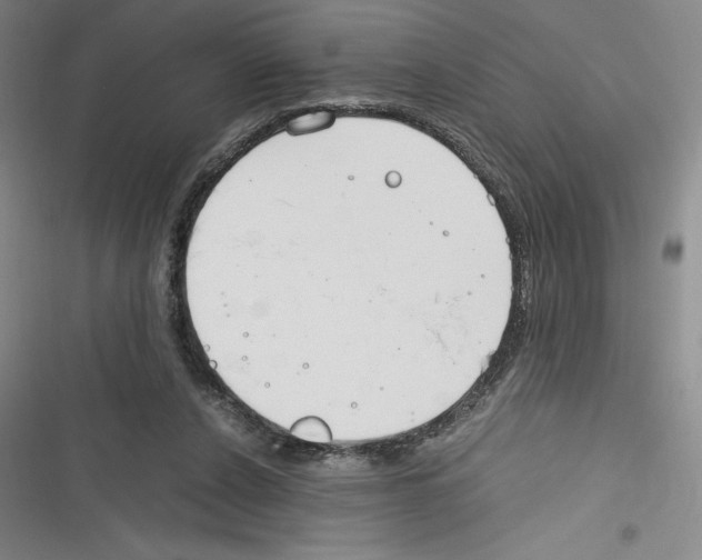 X0000116270256201001111020