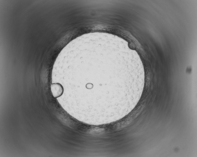 X0000116270257201001111020
