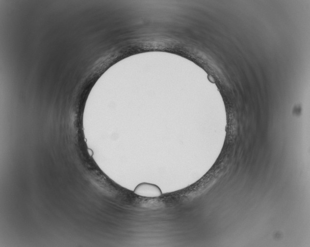 X0000116270258201001111020