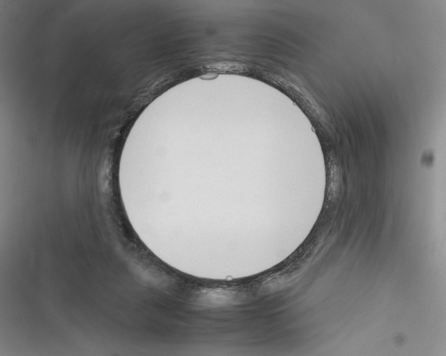 X0000116270259201001111020