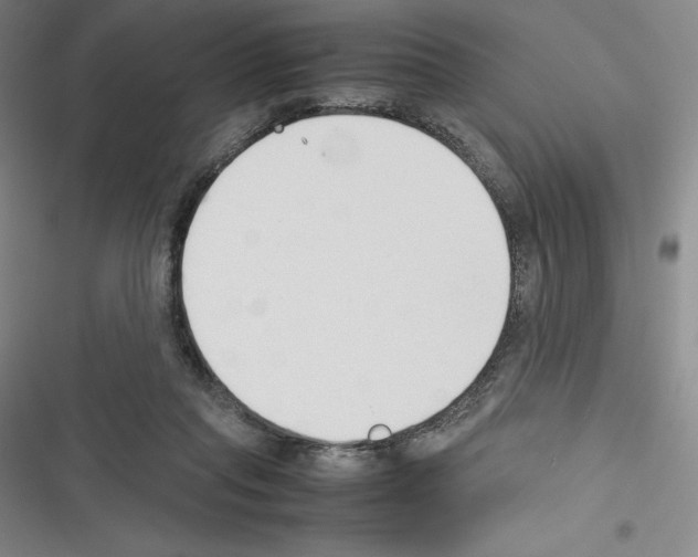 X0000116270261201001111020