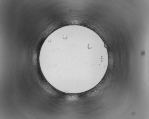 X0000116270262201001111020