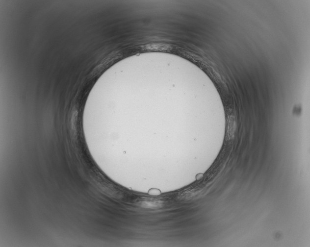 X0000116270263201001111020