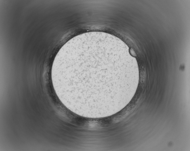 X0000116270264201001111020