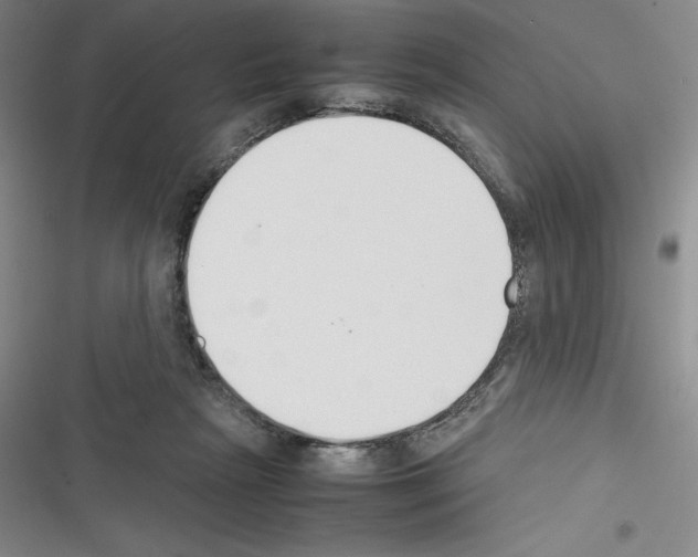 X0000116270265201001111020