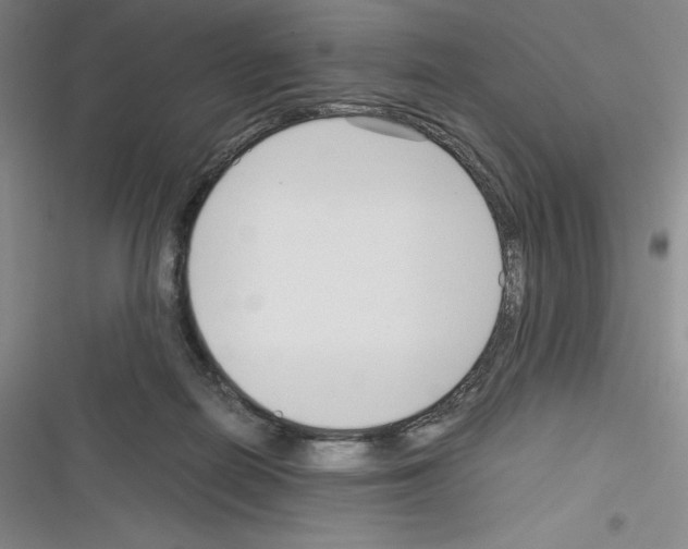 X0000116270266201001111020