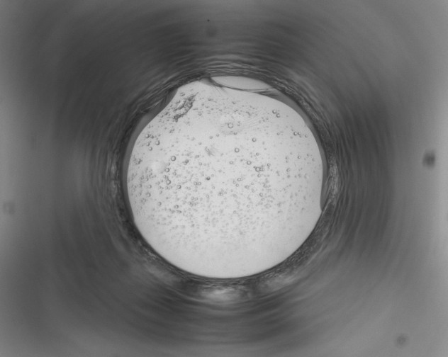 X0000116270267201001111020
