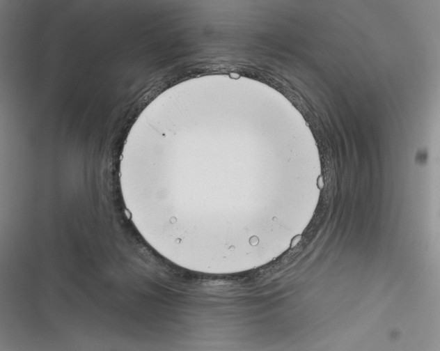 X0000116270268201001111020