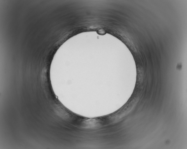 X0000116270269201001111020