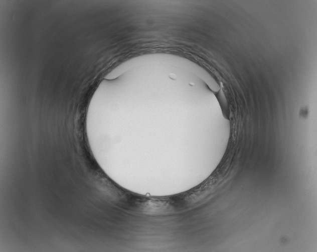 X0000116270270201001111020