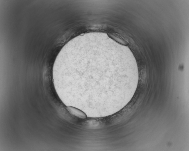 X0000116270272201001111020