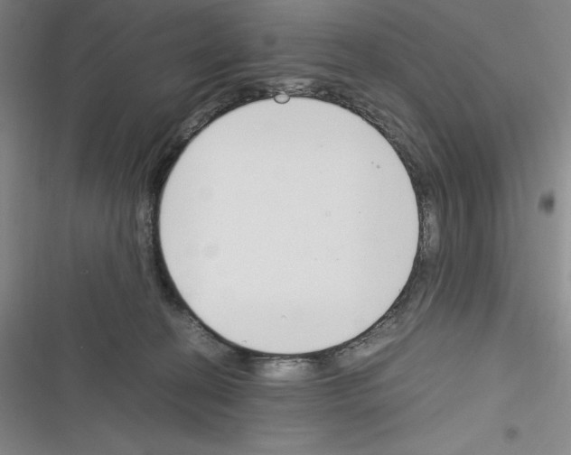 X0000116270274201001111021