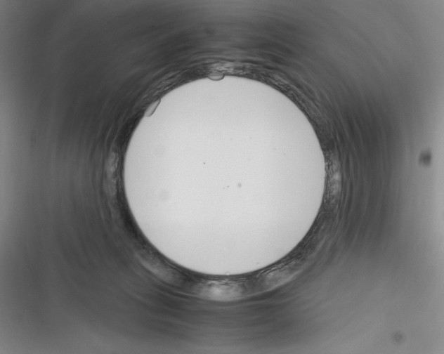 X0000116270275201001111021