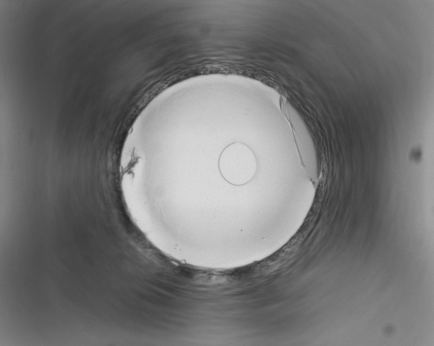 X0000116270276201001111021