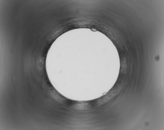 X0000116270278201001111021