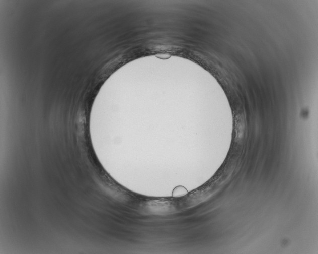 X0000116270279201001111021