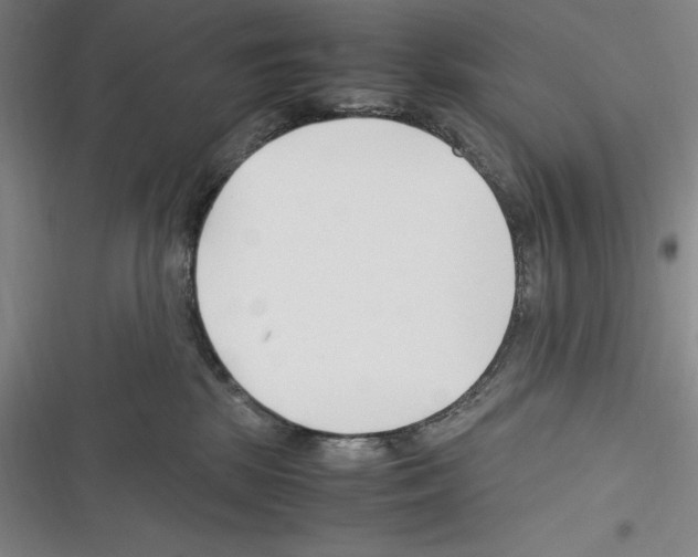 X0000116270281201001111021