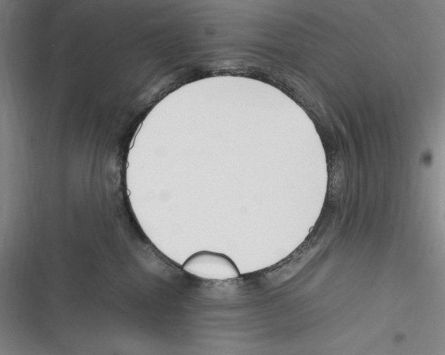 X0000116270282201001111021