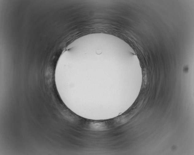 X0000116270283201001111021