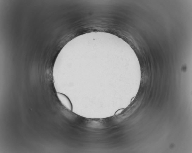 X0000116270285201001111021