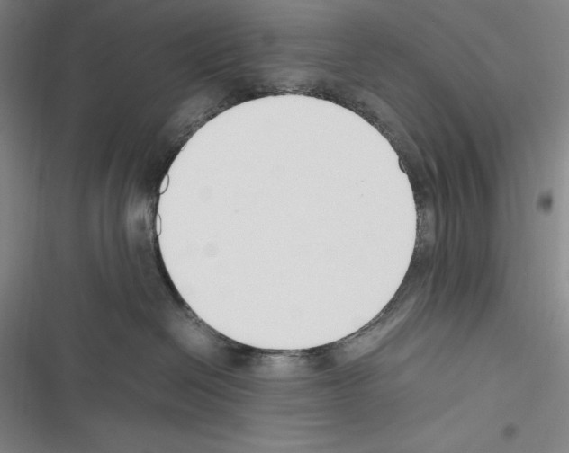 X0000116270286201001111021