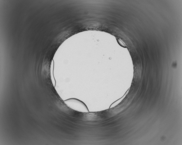 X0000116270287201001111021