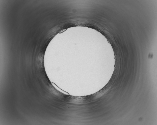 X0000116270288201001111021