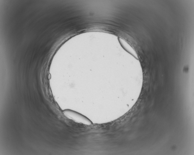 X0000116270289201001111020