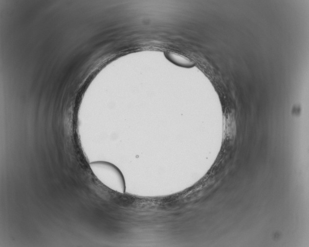 X0000116270291201001111020