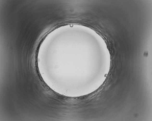X0000116270293201001111020