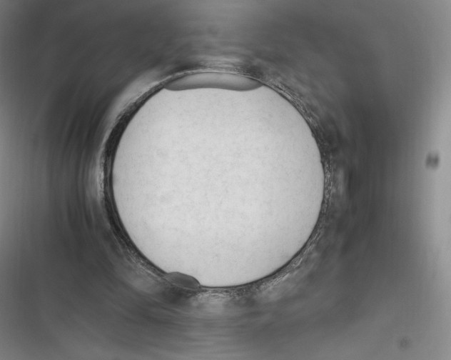 X0000116270294201001111020