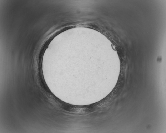 X0000116270295201001111020