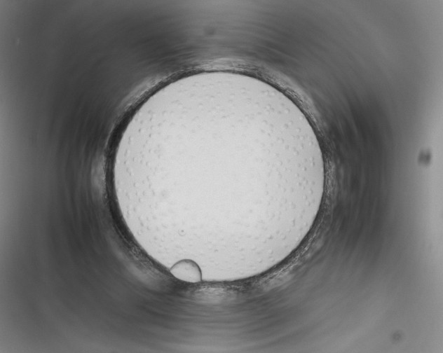 X0000116270298201001111020