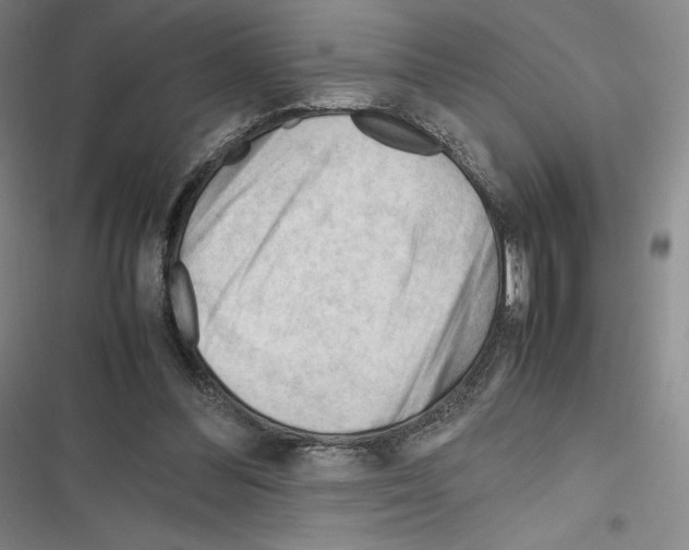 X0000116270300201001111020