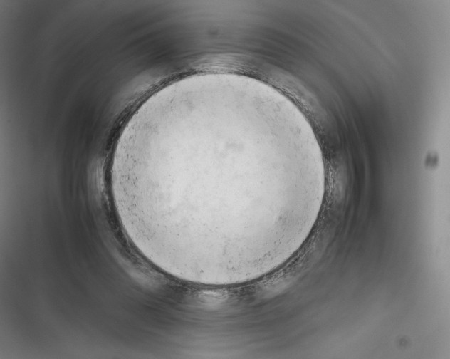 X0000116270302201001111020