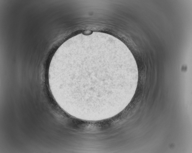 X0000116270303201001111020