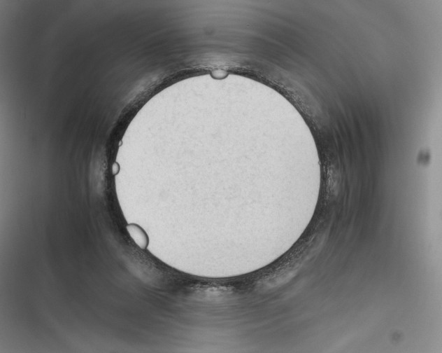 X0000116270304201001111020