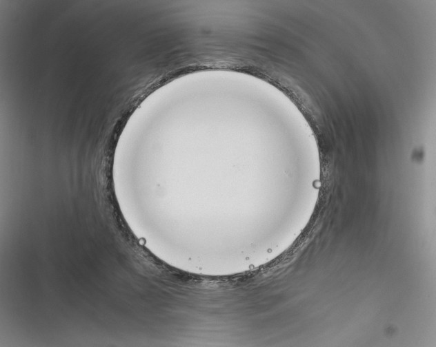 X0000116270305201001111020