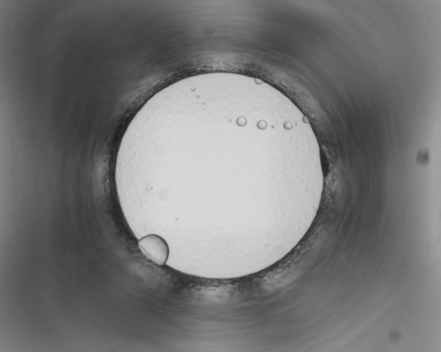 X0000116270306201001111020