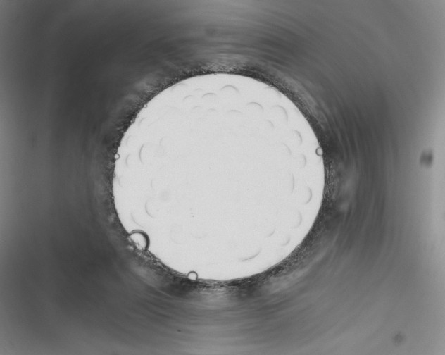 X0000116270307201001111020